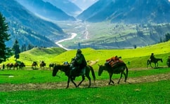 kashmir holiday